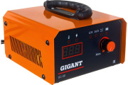 фото Зарядное устройство  Gigant GC-20