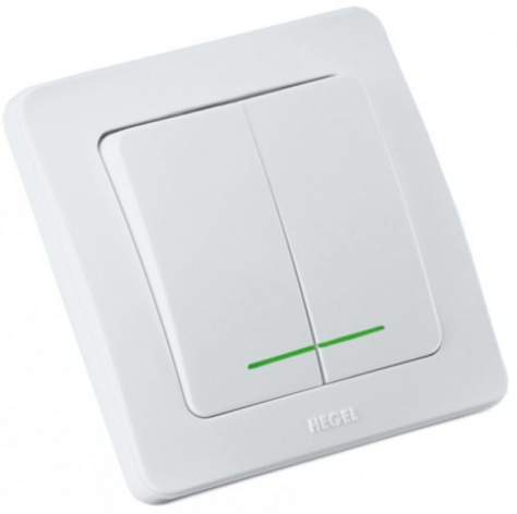 Изображение товара Двухклавишный выключатель HEGEL ВС16-352 для электромонтажа