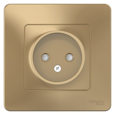 фото Розетка  Systeme Electric BLNRS000114 в Екатеринбурге