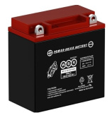 фото Аккумулятор  WBR MT12-10 MF