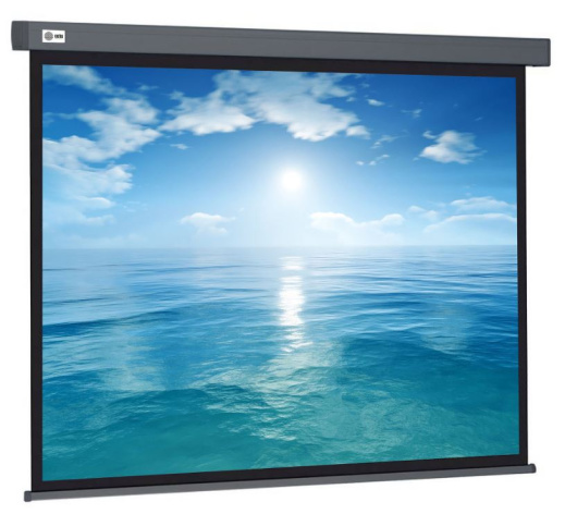 фото Экран  Cactus CS-PSW-124X221-BK в Волгограде
