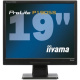 фото Монитор 19" Iiyama P1905S-1