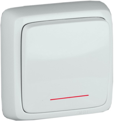 Изображение товара Выключатель одноклавишный HEGEL ВА10-114 для электросетей 10А 250В