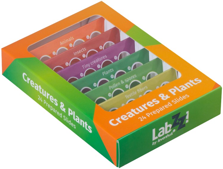 

Набор Levenhuk LabZZ CP24 72870 микропрепаратов, существа и растения, LabZZ CP24