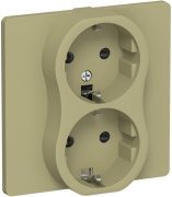 фото Розетка двухместная с заземлением  IEK FI-R24C-16-1-K26
