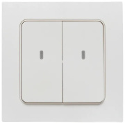 фото Выключатель EKF RCV-ST2-WS-ZB