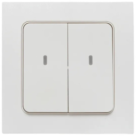 фото Выключатель умный EKF RCV-ST2-WS-ZB в Уфе