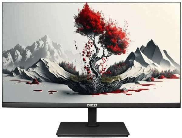 фото Монитор 23,8" RDW Computers 2401K/F00В3100V2A1H в Волгограде