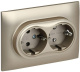 фото Розетка двухместная с заземлением в сборе IEK SK-R21-16-K37-F в Казани