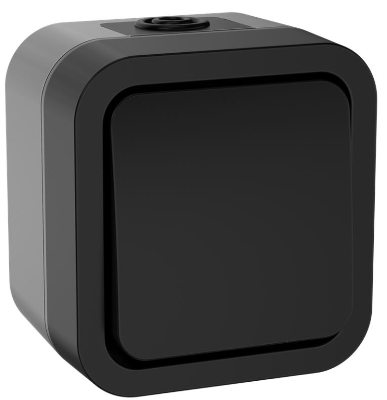 

Выключатель одноклавишный IEK TS-V16-0-10-55-K53 TORS двухполюсный 10А IP55 TS111 графит, TS-V16-0-10-55-K53