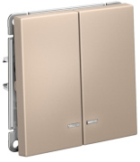 Изображение товара Двухклавишный выключатель с подсветкой SYSTEME Electric GAL001253S