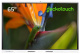 фото Интерактивный комплекс  Geckotouch Interactive 65RK в Смоленске