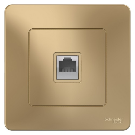 фото Розетка  Systeme Electric BLNIS011004 в Самаре
