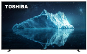 фото Тонер-картридж Toshiba 100Z670RE