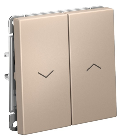 фото Выключатель двухклавишный  Systeme Electric GAL001219S в Красноярске