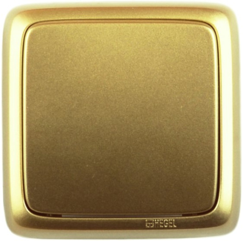 Изображение товара Выключатель одноклавишный HEGEL ВА10-113-07 ультратонкий стиль надежный корпус