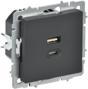 фото Розетка USB  IEK BR-U22-045-K53