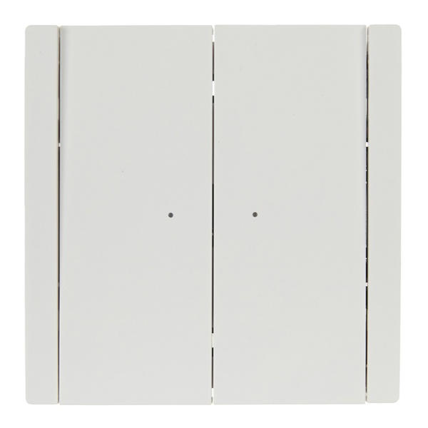 

Переключатель двухклавишный IEK FP-V22-1-10-1-K01 FORTE&PIANO с инд. 10А FP208 белый, FP-V22-1-10-1-K01