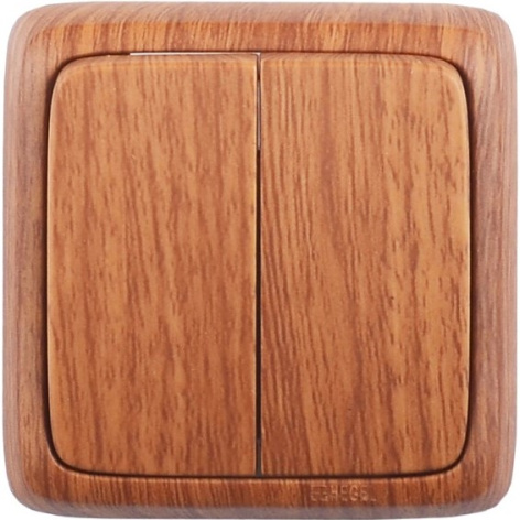 Изображение товара Выключатель двухклавишный HEGEL ВА10-153-05 надежное управление электроприборами