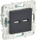 фото Розетка USB  IEK SK-U21-D31-K53 в Казани