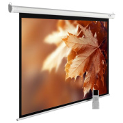 фото Экран Cactus CS-PSME-300X188-WT