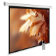 фото Экран  Cactus CS-PSME-300X188-WT в Волгограде