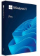 фото ПО (электронный ключ) Microsoft Windows Pro 11 64-bit All Lng (по электронной почте)