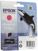 фото Тонер-картридж Epson C13T76034N10 Пурпурный
