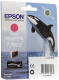 фото Картридж  Epson C13T76034N10 в Санкт-Петербургe