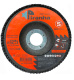 фото Круг лепестковый  SAMGRUPP SAMC-0322125060 в Санкт-Петербургe