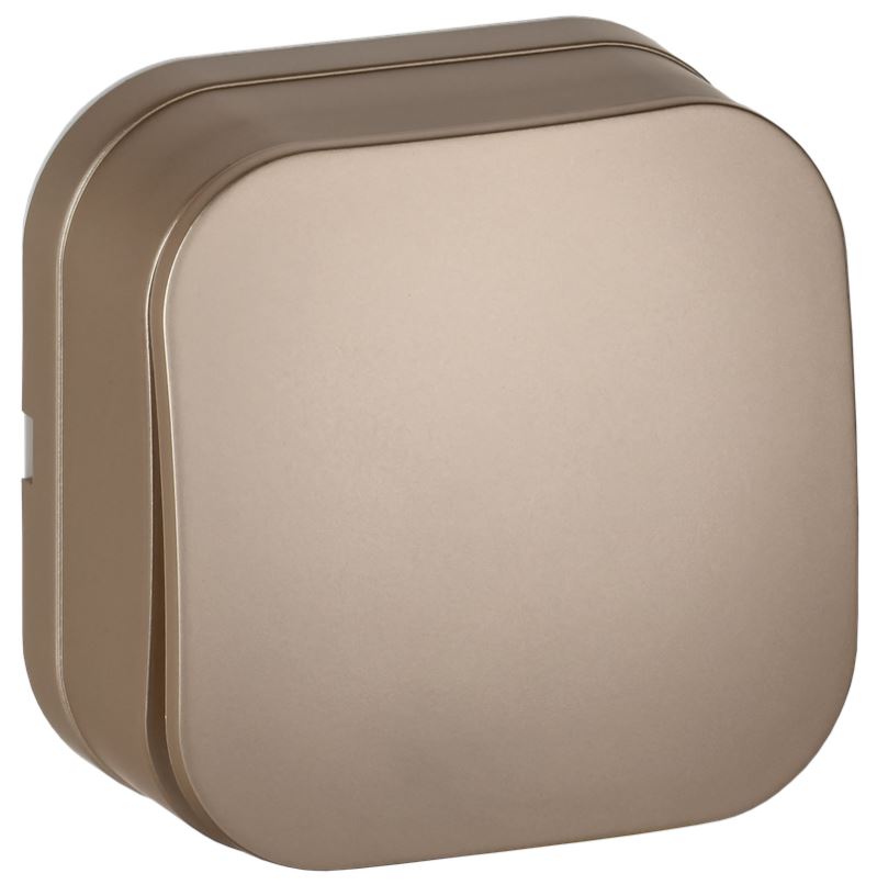 

Выключатель одноклавишный IEK EVH10-K37M-10 GLORY для открытой установки 10А ВС20-1-0-ХШм шампань матовый, EVH10-K37M-10