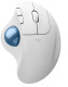 фото Мышь wireless Logitech ERGO M575S