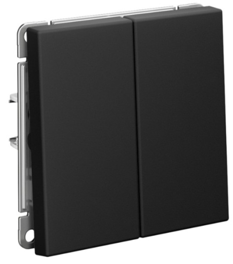 Изображение товара Выключатель двухклавишный Systeme Electric GAL001051S карбон