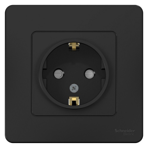 фото Розетка  Systeme Electric BLNRS001116 в Самаре