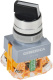 фото Переключатель  GENERICA BSW50-11X2-3-21-2-K02-G в Воронеже