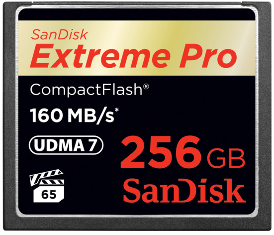 фото Карта памяти CompactFlash 256GB SanDisk SDCFXPS-256G-X46 в Омске