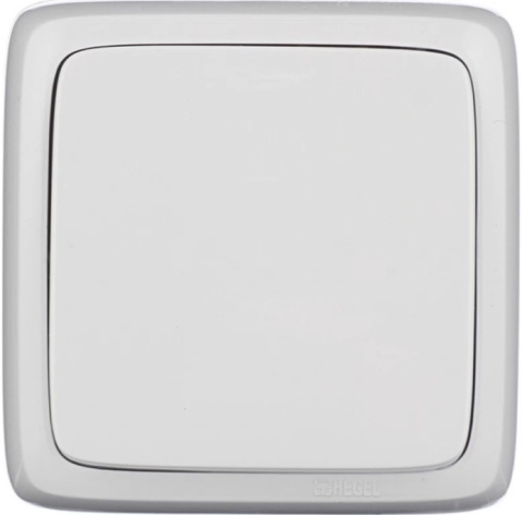 Изображение товара Одноклавишный выключатель HEGEL ВА10-113 для бытовых и промышленных целей