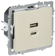 фото Розетка USB  IEK BR-U22-045-K10