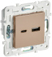 фото Розетка USB  IEK SK-U22-018-K98 в Санкт-Петербургe