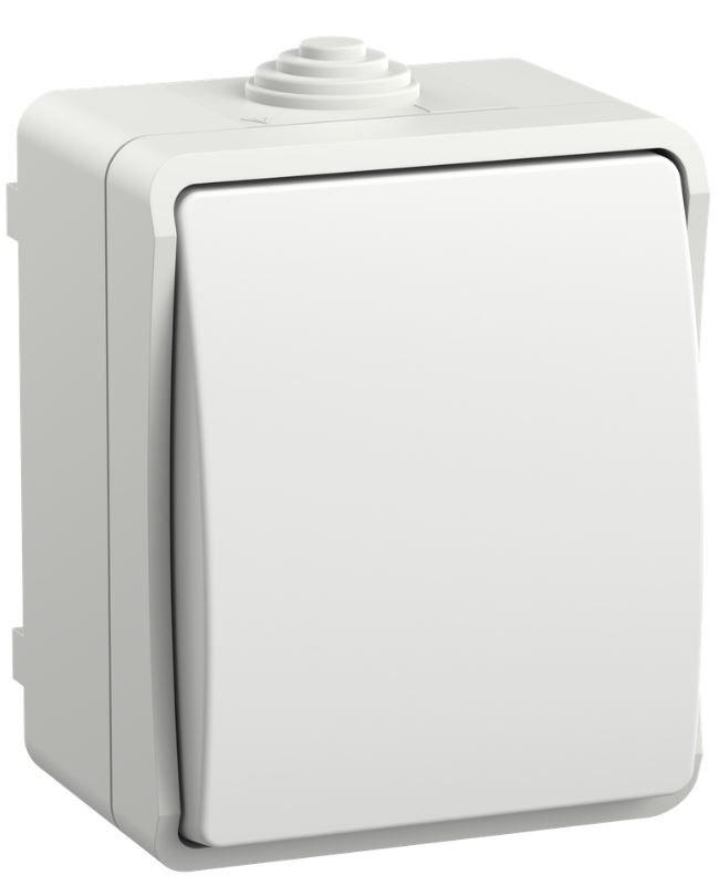 

Переключатель одноклавишный IEK EVS10-K01-10-54-DC FORS открытой установки IP54 ВС20-1-0-ФБ белый, EVS10-K01-10-54-DC