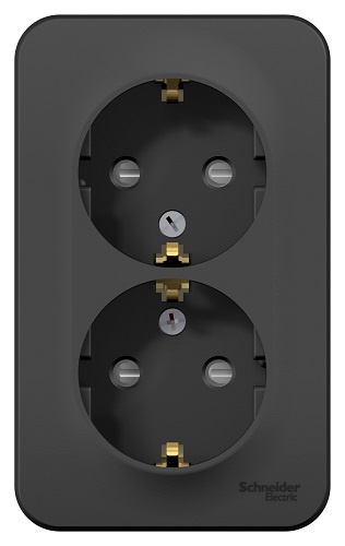 фото Розетка  Systeme Electric BLNRA011216 в Красноярске