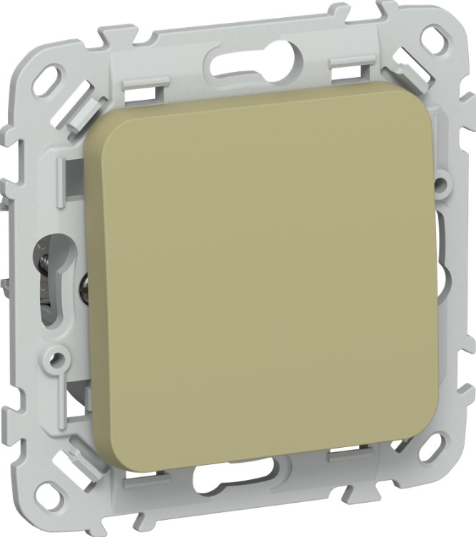 

Выключатель одноклавишный IEK FI-V14-0-10-1-K26 FLITE кнопочный 10А ВС11-2-0-ФлО оливковый, FI-V14-0-10-1-K26