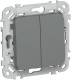фото Выключатель двухклавишный  IEK FI-V20-0-10-1-K80 в Санкт-Петербургe