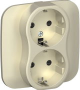 фото Розетка двухместная с заземлением  IEK FI-R24A-16-1-K37