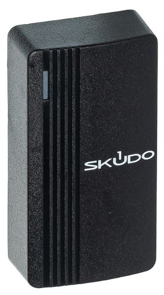 фото Считыватель  Skudo SK-RP100E в Казани