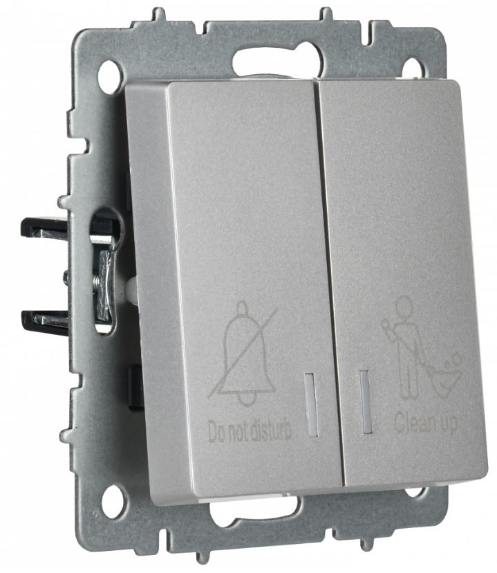 

Выключатель двухклавишный с подсветкой IEK BR-V20-2-10-K46 BRITE отел. 10А ВС10-2-9-БрС Сталь, BR-V20-2-10-K46