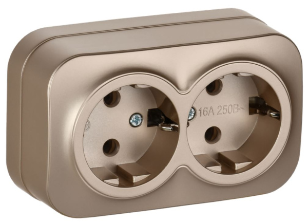 Изображение товара Розетка двухместная с заземлением IEK ERH21-K37M-16