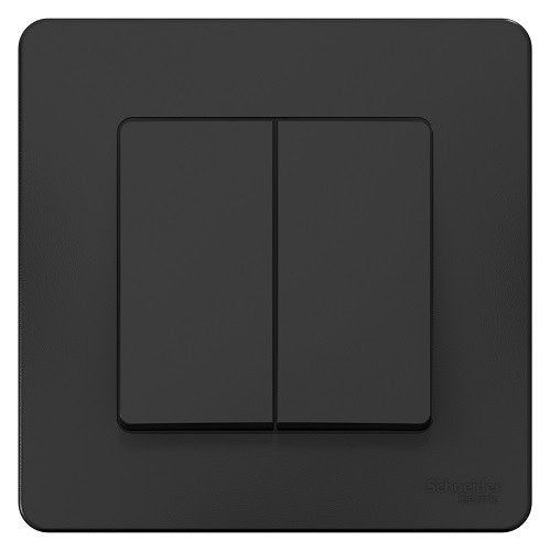 

Переключатель Schneider Electric BLNVS106606 2-клавишный, 10А, 250B Антрацит внутр, BLNVS106606