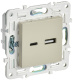фото Розетка USB  IEK SK-U22-018-K10 в Санкт-Петербургe