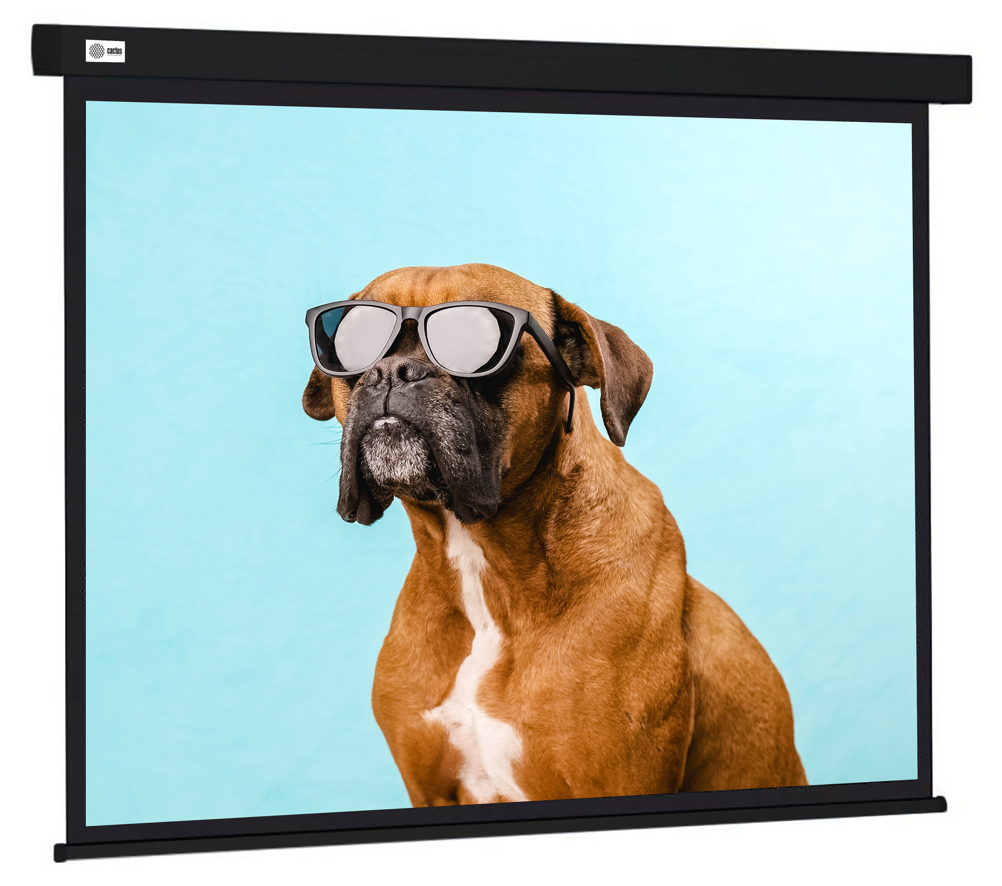 

Экран Cactus CS-PSW-183X244-BK 183x244см wallscreen 4:3 настенно-потолочный рулонный черный, CS-PSW-183X244-BK